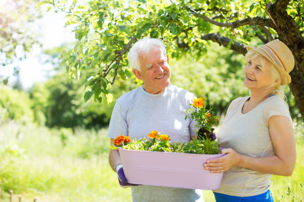 The Social Benefits Of Therapeutic Gardening For Seniors